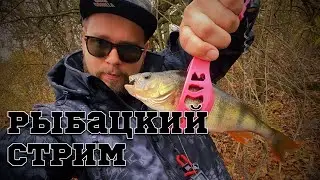Рыбацкое утро 🎣
