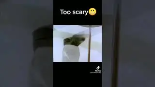 POV: This is not a rickroll #shorts