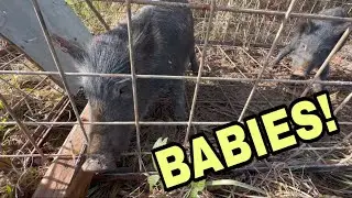 We caught 2 more!