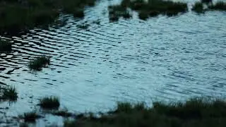 aus - Aida (snippet)
