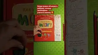 Как устроен мозг #Курпатов