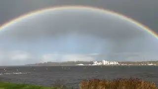 Regenboog