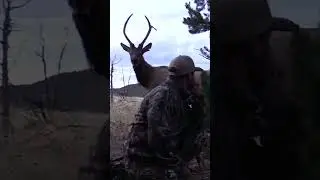 Wait Until The End! 😂 How Close Is Too Close??  