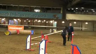 20140104 - Agility Trophy - estafette - Team: Laura's lucky number.