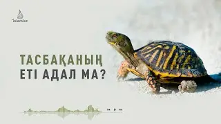 Тасбақаның еті адал ма? / Абдусамат Қасым