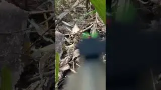 Mira de Fibra ótica