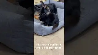 Лучшие Друзья. Часть 3