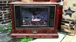 The Thermals - When I Died (from Now We Can See)