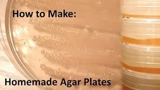 How to make: Homemade agar plates