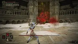 ELDEN RING_DLC Shadow of the erdtree FINAL Bossfight vs rune level 1 scadu 17 no win