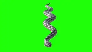 Snake Green screen videos   Green screen snake 2024