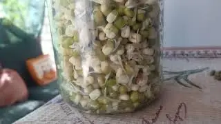 I simply sprout mung beans, and I rejuvenate my skin and organs very effectively. 09/12/2021