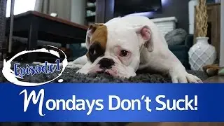 Mondays Dont Suck - Episode 