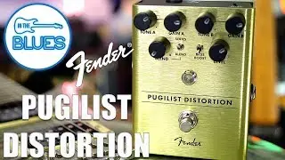 The Fender Pugilist Distortion Pedal Review
