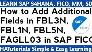 How to Add Additional Field in FBL3N, FBL1N, FBL5N, FAGLL03 IN SAP S4HANA FICO