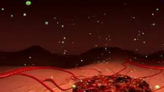 boratorio Boehringer - Vargatef VR