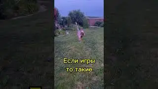 Не бегом, а колесом 