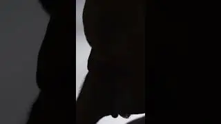 Clossal - Chans 713 #музыка #люди