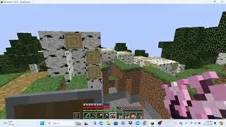 cursed minecraft 19