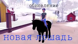 обновление зимние/ новая лошадь/ Equestrian The Game/☃️❄🌨🛷