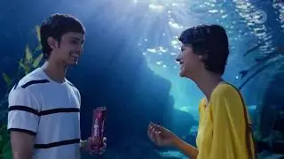 HIDE AND SEEK - Aquarium
