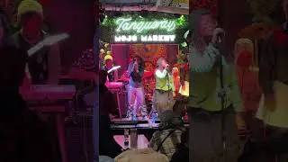 Moments from Mojo Market in Cape Town 🇿🇦 #capetown #southafrica #nightmarket #southafricavlog