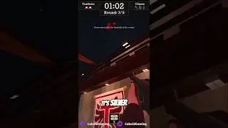Chilling playing Treason - A Trouble in Terrorist Town Game Mode