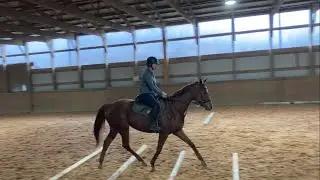 Mondeuse Schooling 11102023