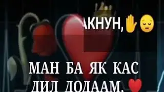Бехтарин видео патиписатсияро фаромуш накнен