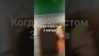 31 декабря 2023 г.
