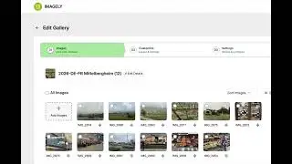 Imagely Worpress plugin sorting problem