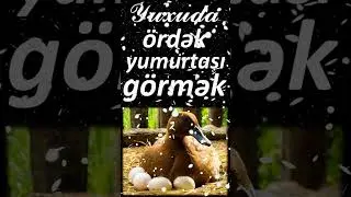Yuxuda ördək yumurtası görmək