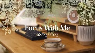 Focus With Me | Live Pomodoro 50/10 | Calm Forest Stream ASMR