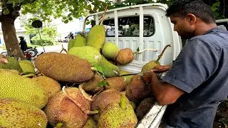 Amazing !!! Jackfruit Cutting In Village market