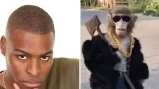 Epic Ape Madness #ThePimpinChimps ROLL OUT! ZONE 3