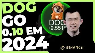 DOG GO TO THE MOON 0.10 ATE DEZEMBRO?