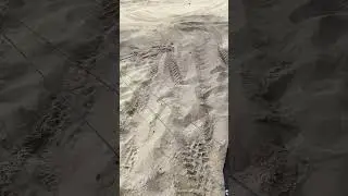 Trolii WARN la Best Ride! Ești gata să cucerești orice teren?