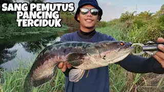 JACKPOT!!! DAPAT TOMAN BESAR PEMUTUS TALI PANCING YANG SELAMA INI DICARI