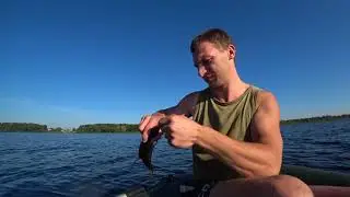 August. summer.onboard fishing.BREAM