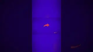 Cinematic logo animation intro