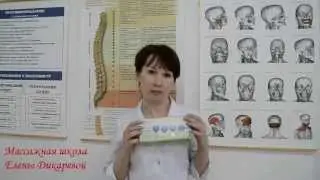 Вакуумный массаж