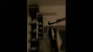 pnl - lion (sped up)