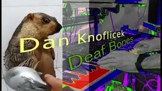 Deaf Bones