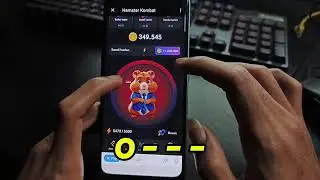 HAMSTER combat daily cipher today 26 June