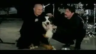 Бутырка - Шарик