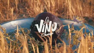 La Vinochelapi - Corazón o Nada (Video Oficial)