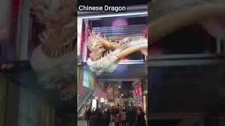 Chinese Dragon A#technology #2024reel #newreel
