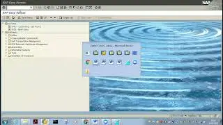 Sap Ewm Tutorial