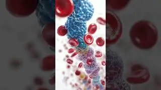 MYELODYSPLASTIC SYNDROME || DYSERYTROPOIESIS #shorts #neet #fmge #biology
