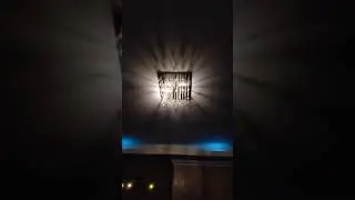 movimiento extraño de araña de vidrio !! horas moviéndose sin razón